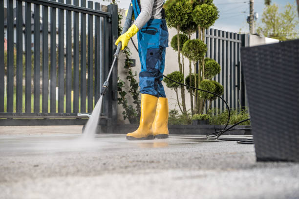 Best Commercial Building Pressure Washing  in Shackle Island, TN