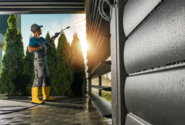 Best Pressure Washing Siding  in Shackle Island, TN