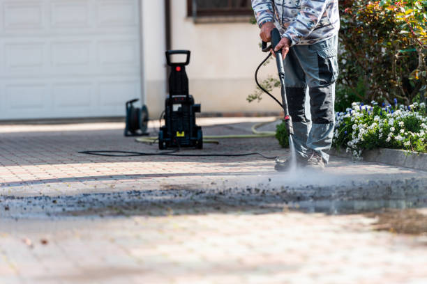 Best Pressure Washing Near Me  in Shackle Island, TN