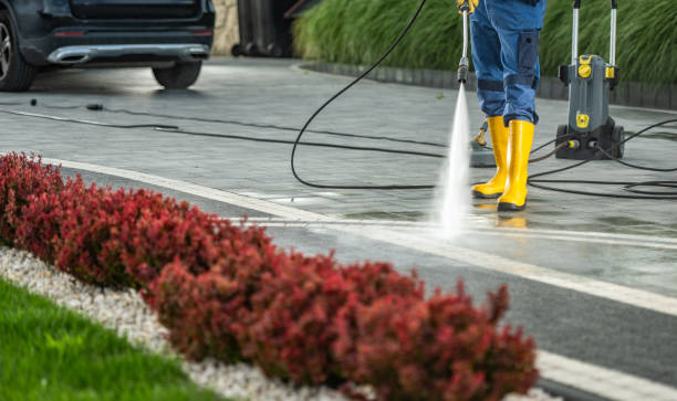 Best Concrete Pressure Washing  in Shackle Island, TN