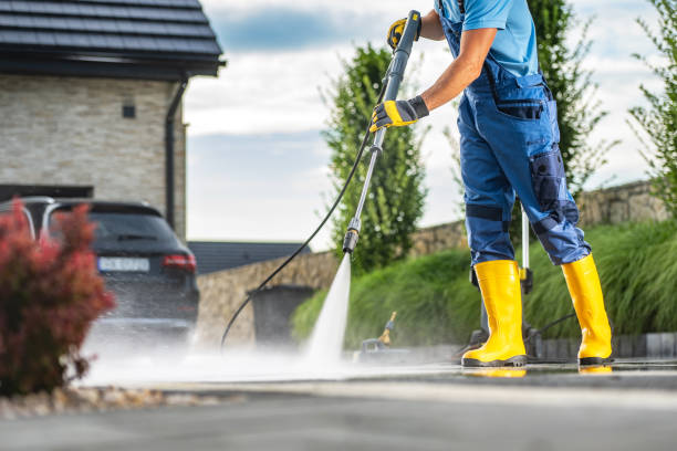 Best Roof Pressure Washing  in Shackle Island, TN