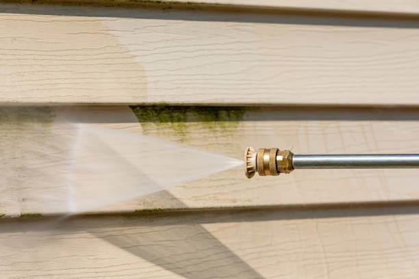 Best House Pressure Washing  in Shackle Island, TN