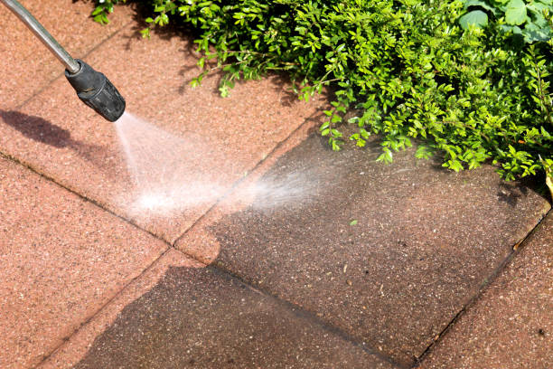 Best Pressure Washing Estimates  in Shackle Island, TN